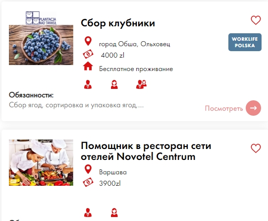 Работа в Польше во время войны: сколько платят украинцам и где искать вакансии